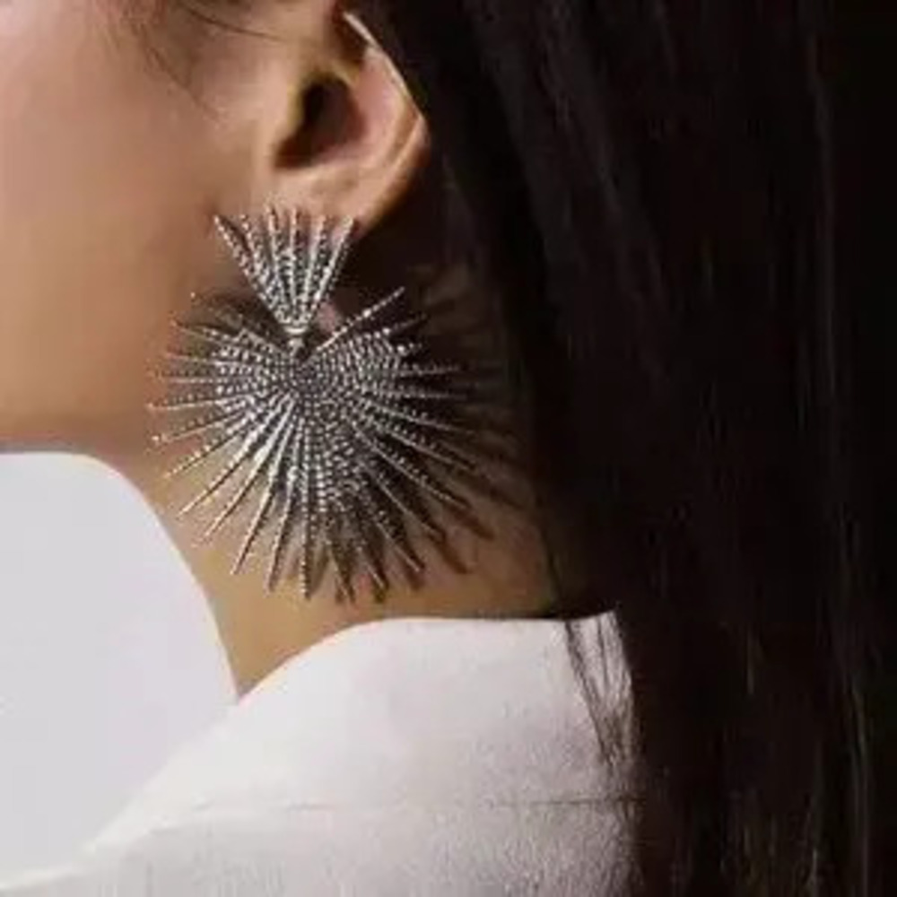 Big Silver Earrings